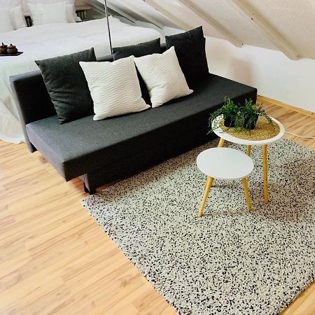 Studio Apartment In Direkter Naehe Zur Uniklinik Homburg Homburg  Kültér fotó