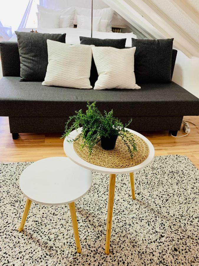 Studio Apartment In Direkter Naehe Zur Uniklinik Homburg Homburg  Kültér fotó