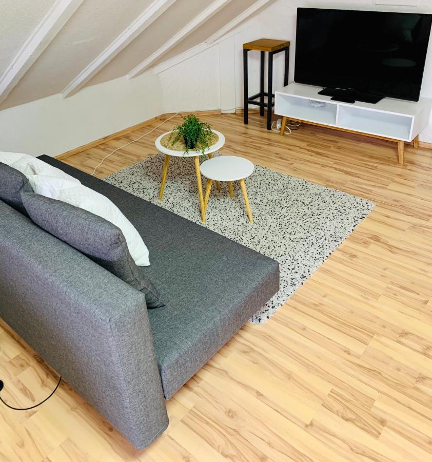 Studio Apartment In Direkter Naehe Zur Uniklinik Homburg Homburg  Kültér fotó