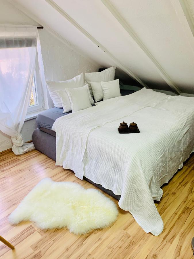 Studio Apartment In Direkter Naehe Zur Uniklinik Homburg Homburg  Kültér fotó