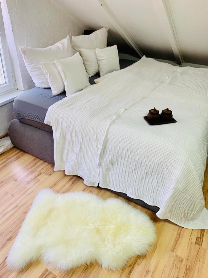 Studio Apartment In Direkter Naehe Zur Uniklinik Homburg Homburg  Kültér fotó