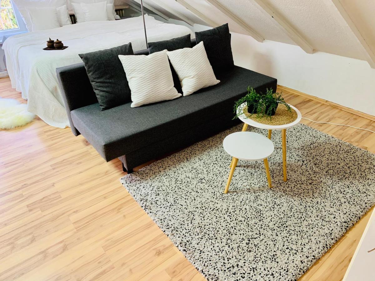 Studio Apartment In Direkter Naehe Zur Uniklinik Homburg Homburg  Kültér fotó