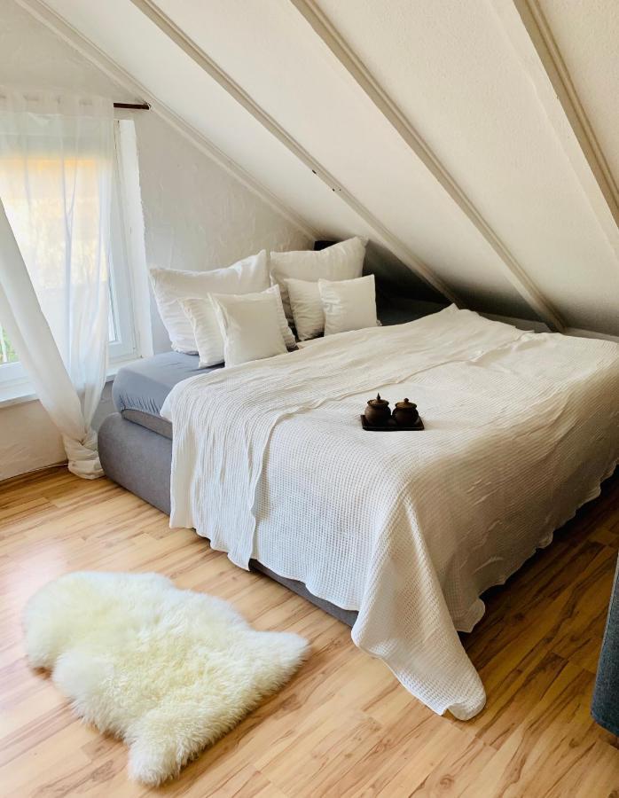 Studio Apartment In Direkter Naehe Zur Uniklinik Homburg Homburg  Kültér fotó