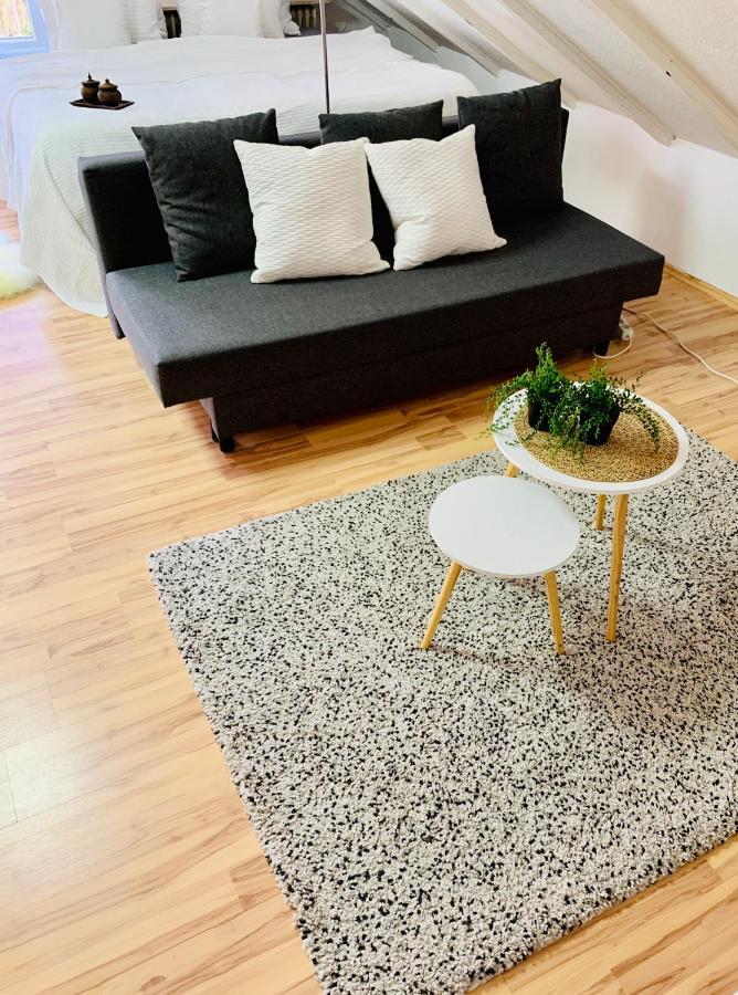 Studio Apartment In Direkter Naehe Zur Uniklinik Homburg Homburg  Kültér fotó