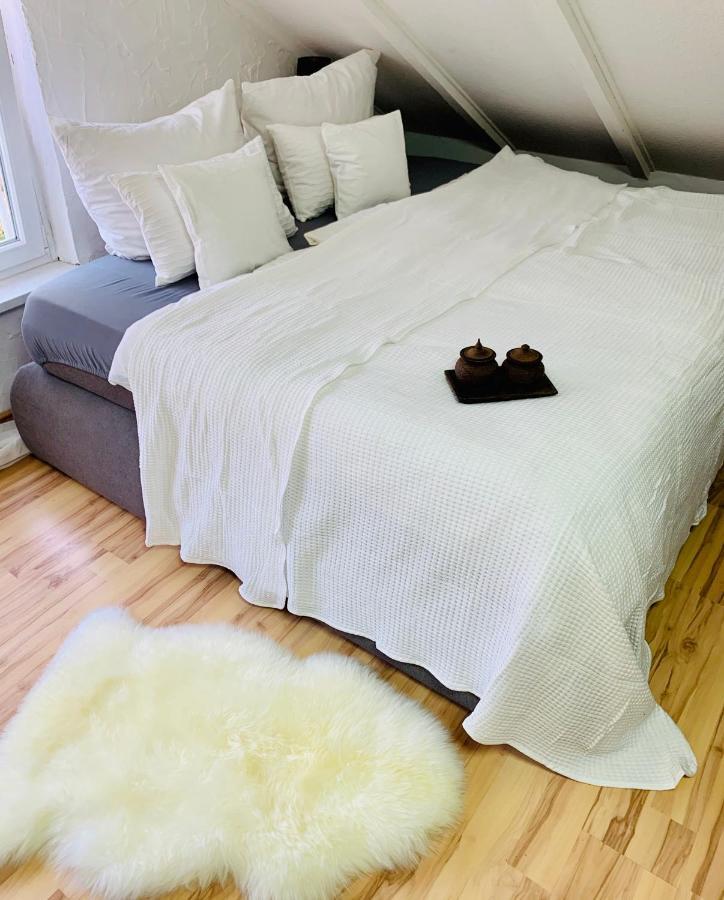 Studio Apartment In Direkter Naehe Zur Uniklinik Homburg Homburg  Kültér fotó