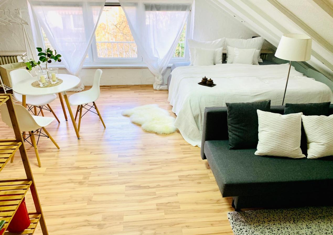 Studio Apartment In Direkter Naehe Zur Uniklinik Homburg Homburg  Kültér fotó