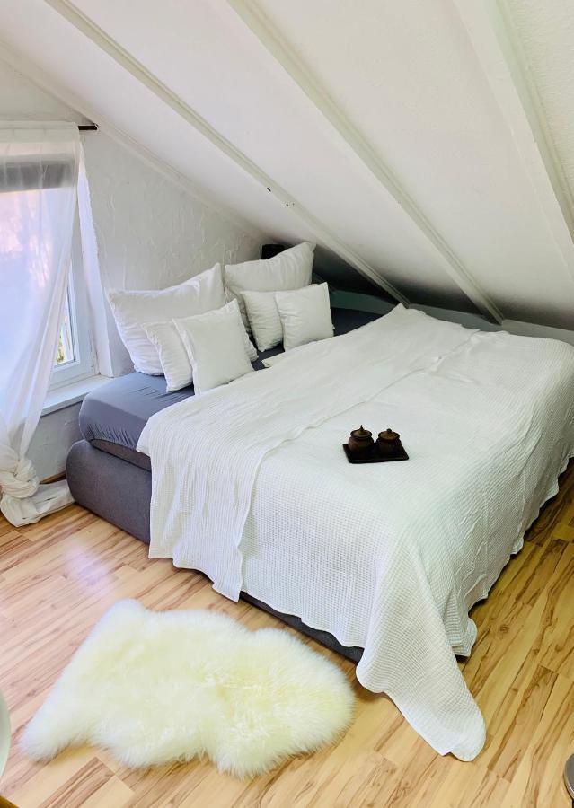 Studio Apartment In Direkter Naehe Zur Uniklinik Homburg Homburg  Kültér fotó