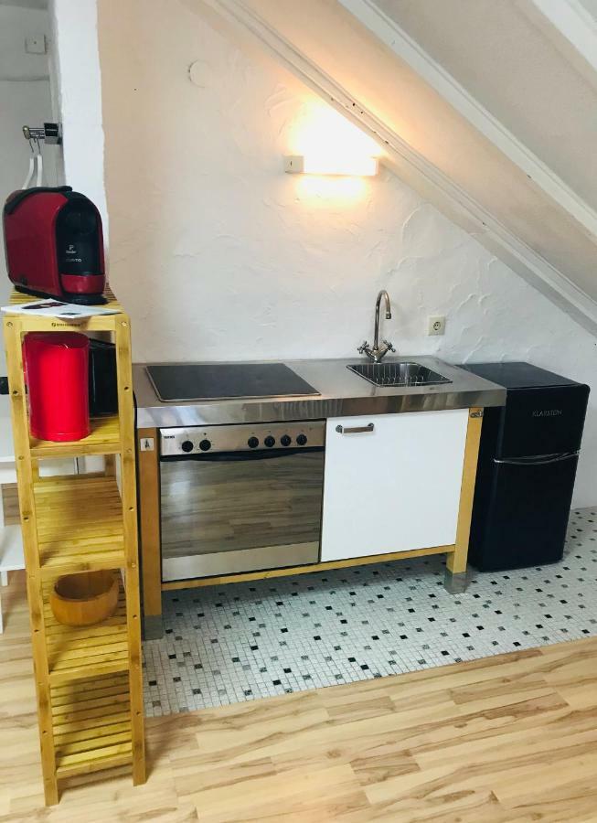Studio Apartment In Direkter Naehe Zur Uniklinik Homburg Homburg  Kültér fotó