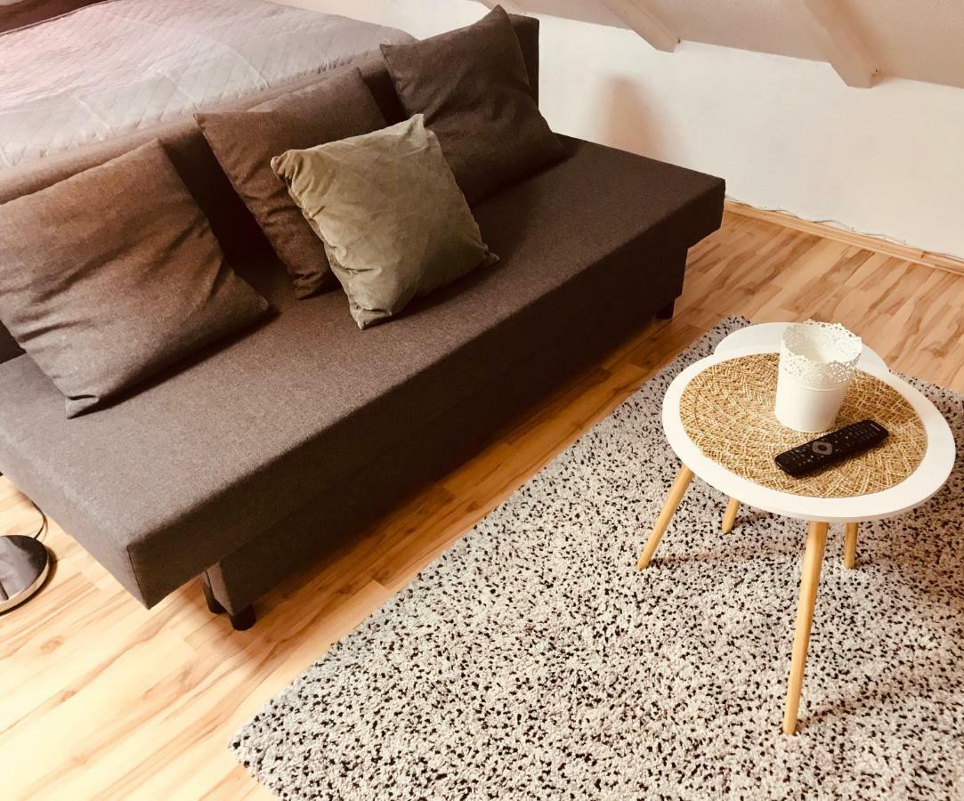 Studio Apartment In Direkter Naehe Zur Uniklinik Homburg Homburg  Kültér fotó