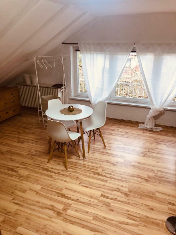 Studio Apartment In Direkter Naehe Zur Uniklinik Homburg Homburg  Kültér fotó